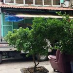 Hơn 8 năm chưa đòi được 30 lượng vàng