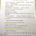 Tổng giám đốc Công ty XSKT TP.Hồ Chí Minh bố trí em ruột làm kế toán tài vụ