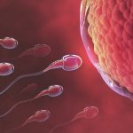 AI tìm thấy tinh trùng ở nam giới vô sinh nhanh hơn bác sĩ 1.000 lần